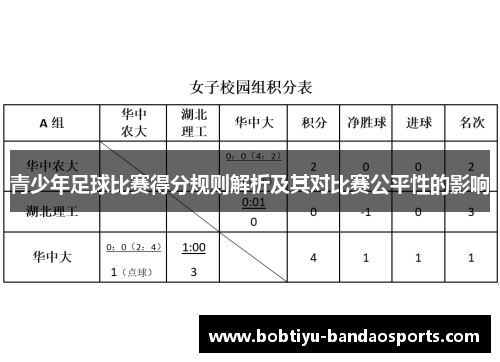 青少年足球比赛得分规则解析及其对比赛公平性的影响